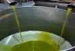More than 13 thousand tons of olive oil produced in Homs