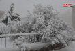 Provincia de Swieda cubierta de nieve (fotos)