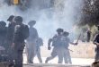 شهادت دو فلسطینی بر اثر اصابت گلوله های اشغالگران در الخلیل