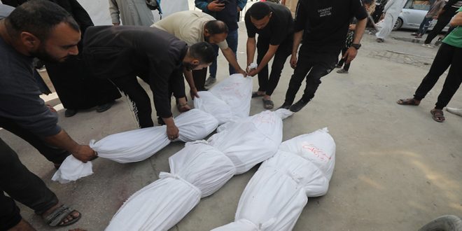 66 martyrs au 205e jour de l’agression israélienne contre la bande de Gaza