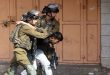 כוחות הכיבוש עוצרים 3 פלסטינים בקלקיליה ובטובאס