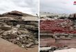 Tartus’ta Deprem Nedeniyle 20 Vatandaş Yaralandı, Binalar Hasar Gördü