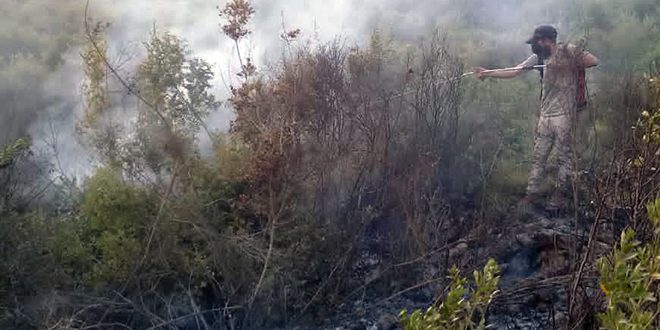 إخماد حريق قرب قرية رويسة المندرة بريف طرطوس