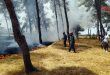 إخماد حريق في الحديقة العامة بمدينة سلمية