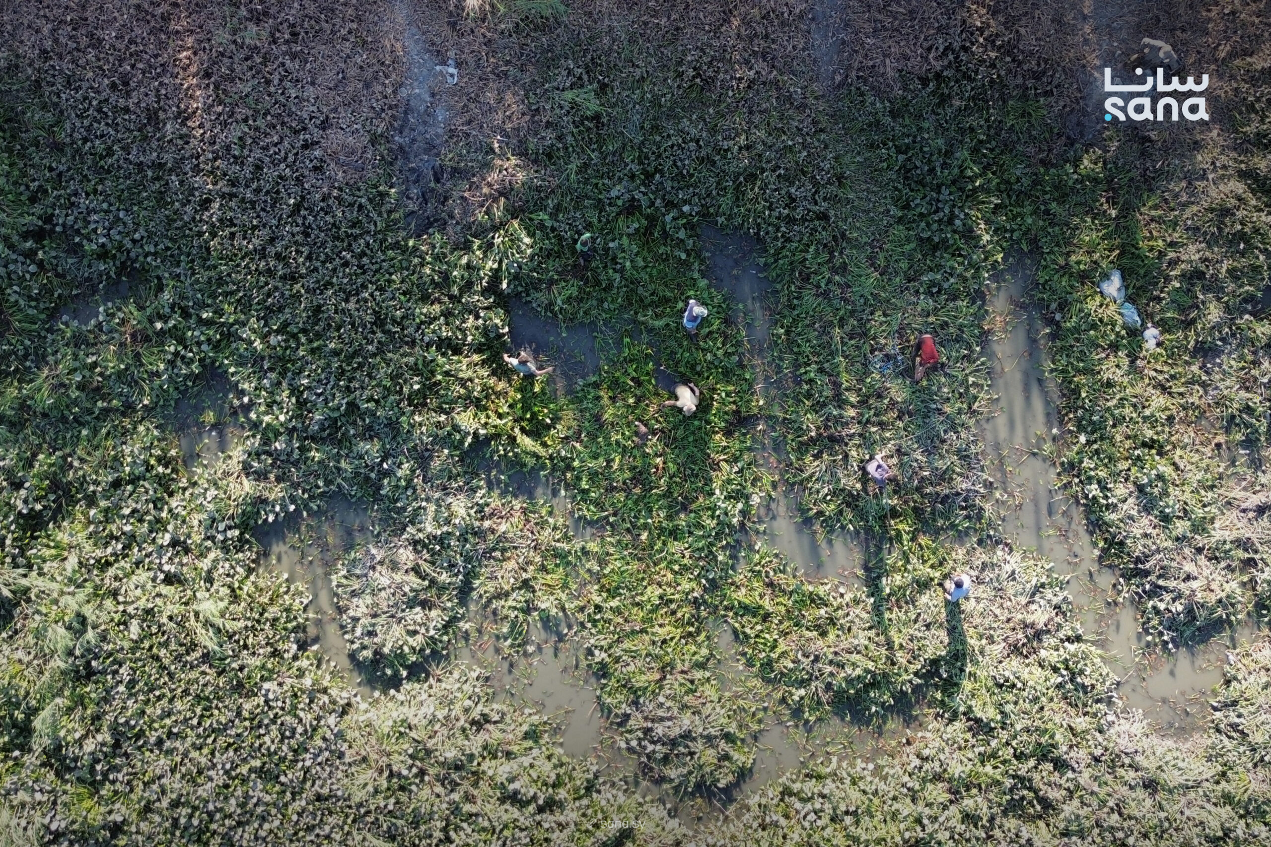 Syrian Border Guard delegation visits Turkey to discuss bilateral cooperation Syrian Arab News Agency (SANA) Syrian Border Guard delegation visits Turkey to discuss bilateral cooperation