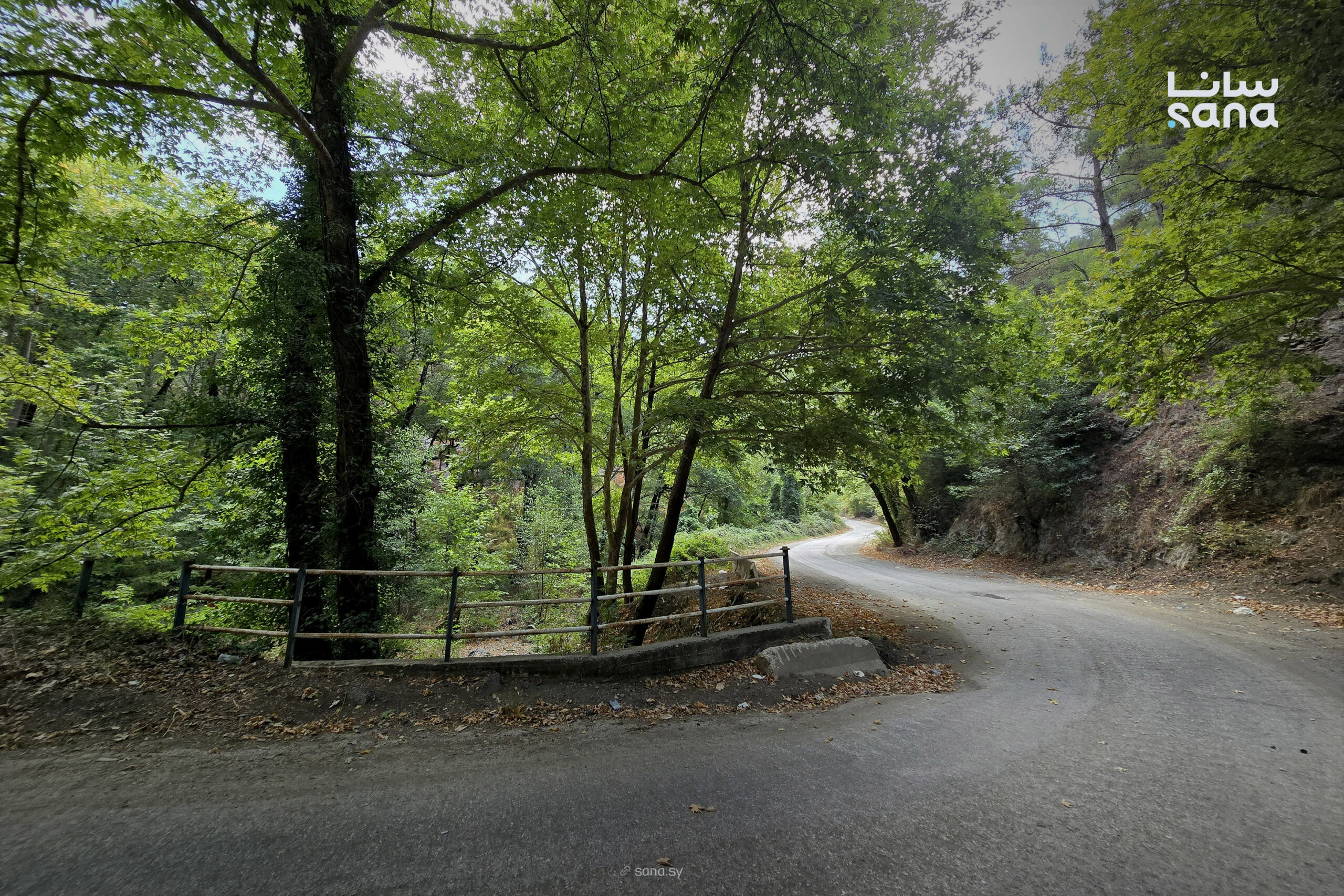 Syrian Border Guard delegation visits Turkey to discuss bilateral cooperation Syrian Arab News Agency (SANA) Syrian Border Guard delegation visits Turkey to discuss bilateral cooperation
