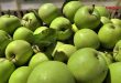 Provincia costera de Latakia produce más de 26 mil toneladas de manzanas