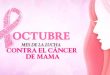Siria lanza campaña nacional para detección precoz del cáncer de mama