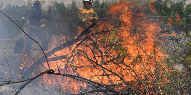 آتش‌سوزی جنگل‌ها در اروپا آسیب های زیادی را به بار می آورد