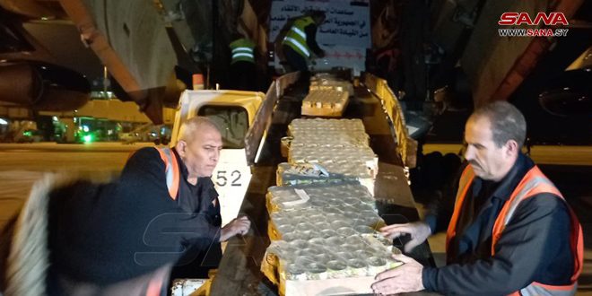 ورود هواپیمای لیبیایی حامل کمک های امدادی به فرودگاه بین المللی حلب
