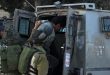 نیروهای اشغالگر سه فلسطینی را در قدس اشغالی بازداشت کردند