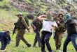 سازمان ملل خواستار توقف حمایت رژيم اشغالگر از حملات شهرک نشینان در کرانه باختری شد