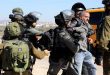 زخمی و بازداشت شدن چند نفر دیگر در کرانه باختری