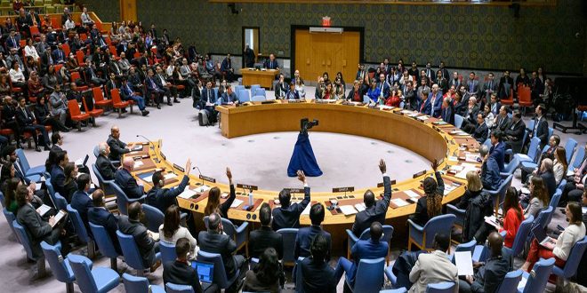 اعضای شورای امنیت به جزئیات درخواست عراق برای پایان ماموریت سازمان ملل در عراق رای دادند