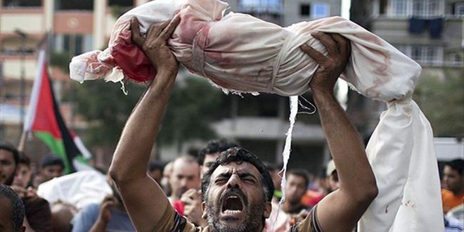 هشدار مقام سازمان ملل درباره حمله اشغالگران اسرائیلی به شهر رفح