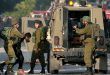 הכוחות הישראליים עצרו 4 פלסטינים בעיר טול כרם