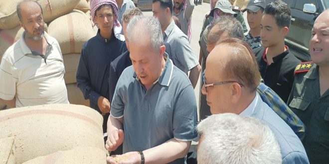 Арнус проинспектировал центры по приёму зерна в провинции Идлеб