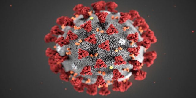 عالم روسي يكشف سر فرادة فيروس كورونا