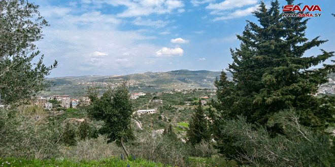 طقس الغد.. الجو ربيعي معتدل والحرارة حول معدلاتها