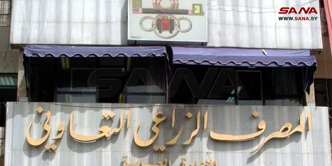 المصرف الزراعي التعاوني: السماح بسحب 50 مليون ليرة من قيم الأقماح المسلمة لكل عضو تعاوني
