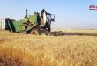 افتتاح 3 مراكز وصومعة لتسويق القمح في منطقة القامشلي